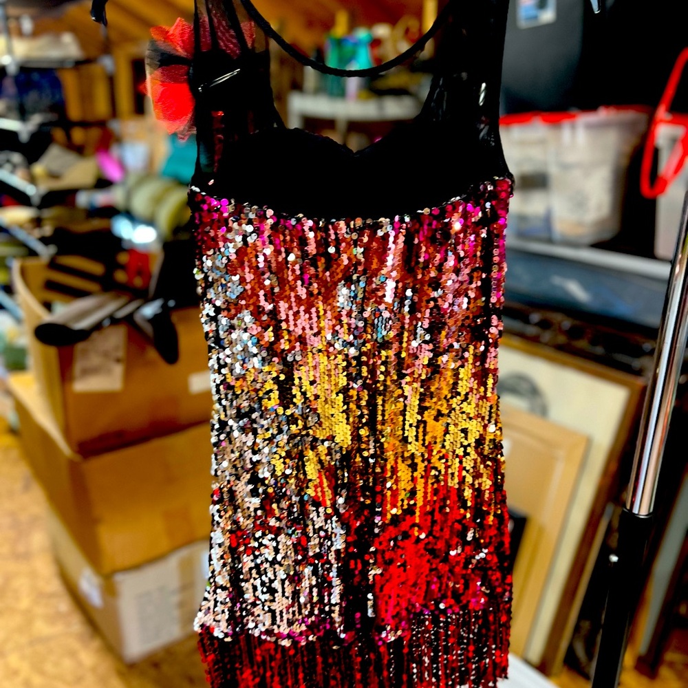 curtain Call Costumes dress with sequins multi colored